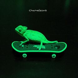 chameleons