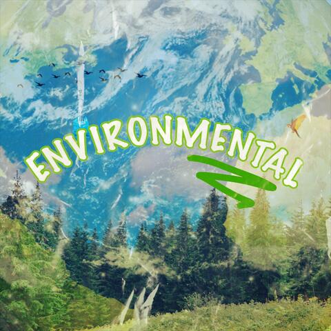 ENVIRONMENTAL