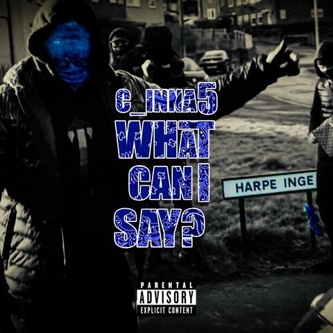 What can i say? (Radio Edit)