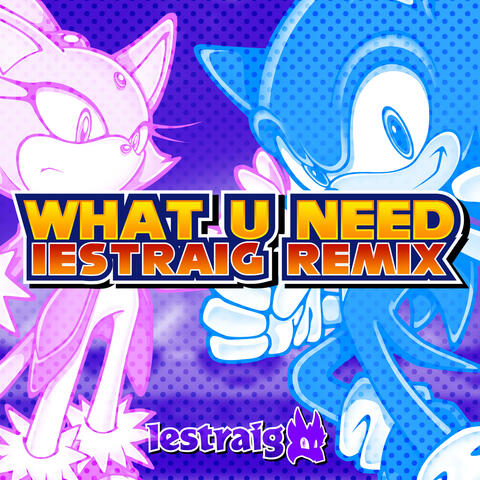 What U Need (Sonic Rush)