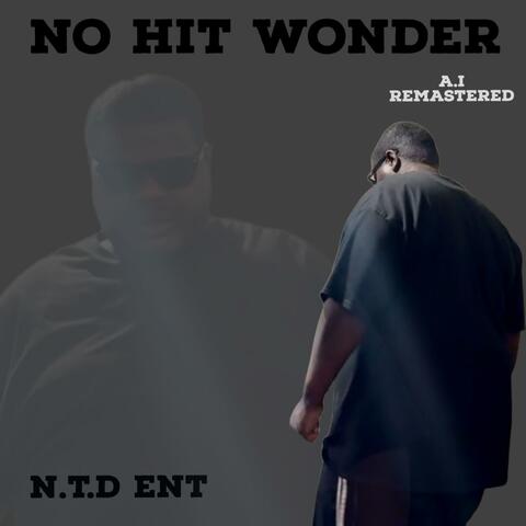 No Hit Wonder