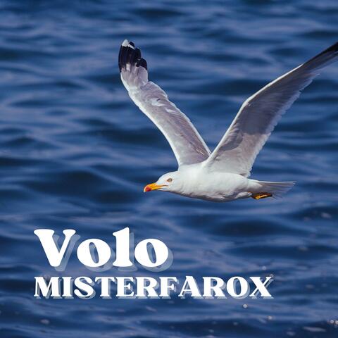 Volo