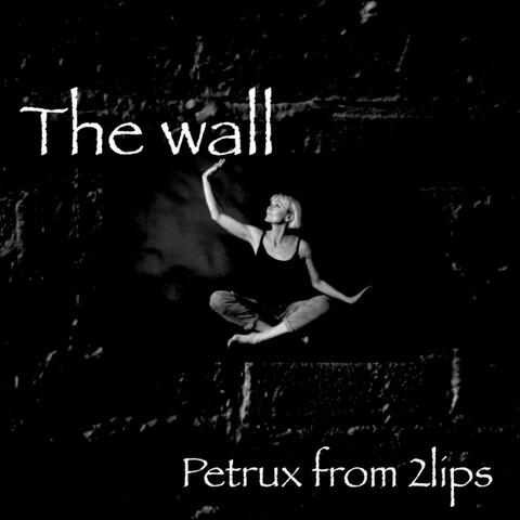 The wall