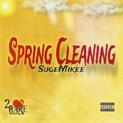 Spring cleaning