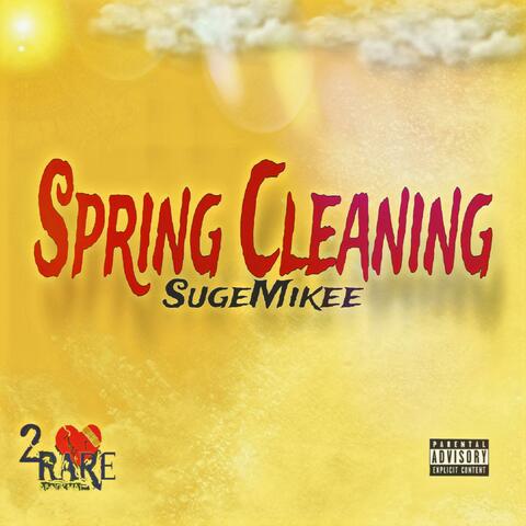 Spring cleaning