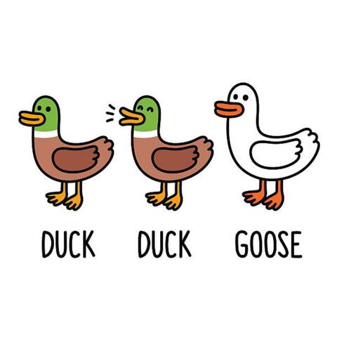 Duck Duck Goose