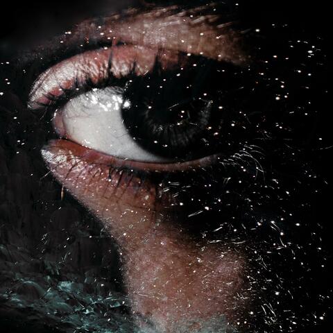Vol. LXXXI: A Fire Upon the Deep