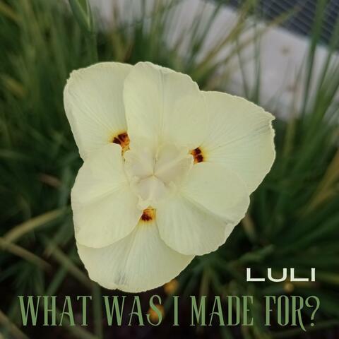 What Was I Made For?