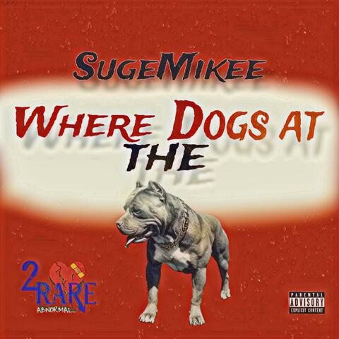 Where the dogs at
