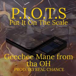P.I.O.T.S (Put It On The Scale)