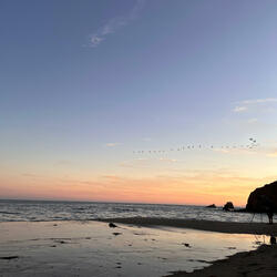 dat summer night radio jam (love)