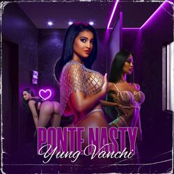 Ponte Nasty