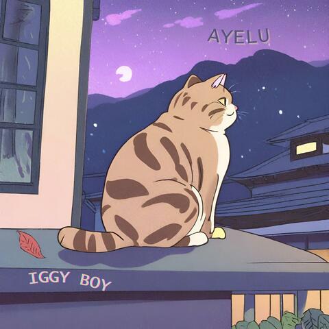 Iggy Boy
