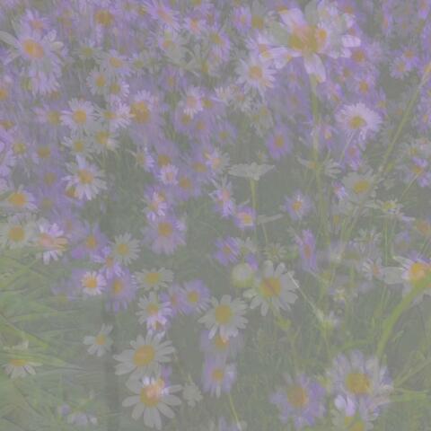 napping is necessary