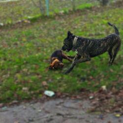 if you need me, don't call me!