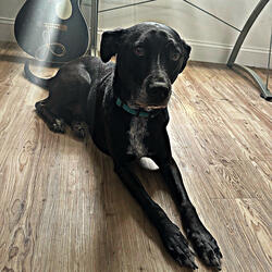 plea$e hate me more than you hate your$elf (feat. death $hroom)