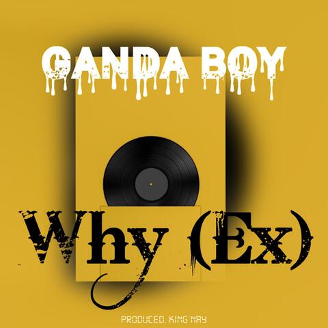 Why (Ex)