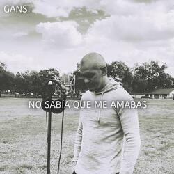 NO SABÍA QUE ME AMABAS