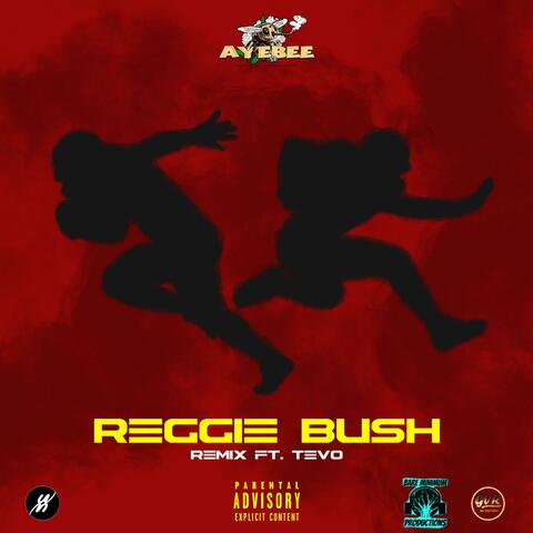 Reggie Bush (feat. Tevo Jordan) [REMIX]
