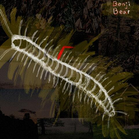 Centipede With a Broken Leg