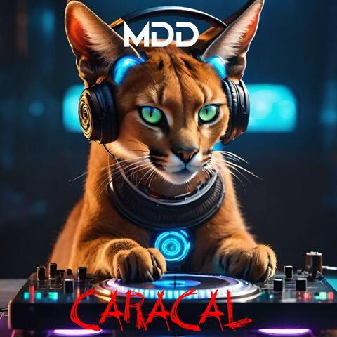 CARACAL