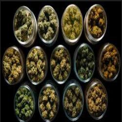 SUPER BAGS (feat. ES Mario)