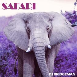 Safari