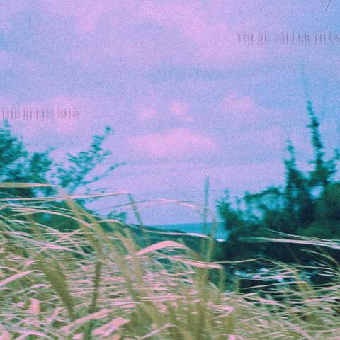 you're taller than the reeds now