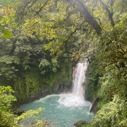 jungle (slowed + reverb)