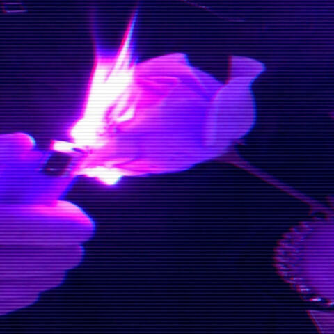 Zzz
