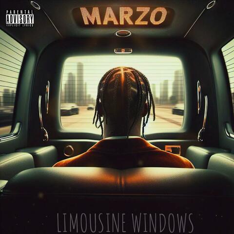 Limousine Windows