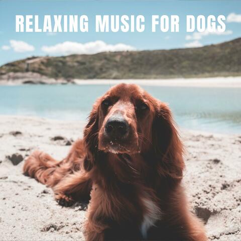 Relaxing Music For Dogs (With Ocean Sounds)