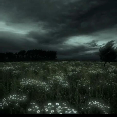 Echoes