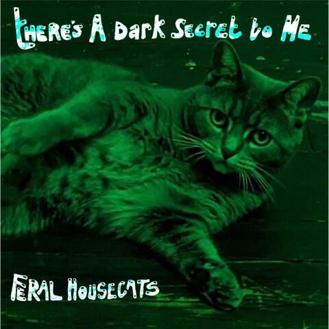 There's A Dark Secret To Me