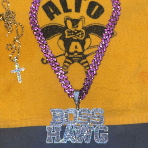BOSS HAWGZ
