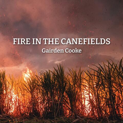 FIRE IN THE CANEFIELDS