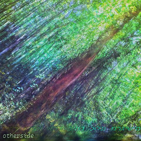 Otherside