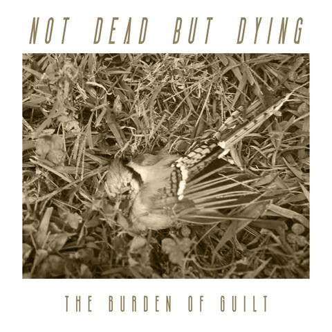 The Burden Of Guilt