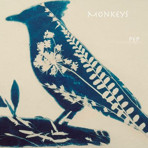 Monkeys One