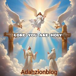 LORD YOU ARE HOLY