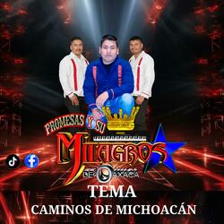 Caminos De Michoacán