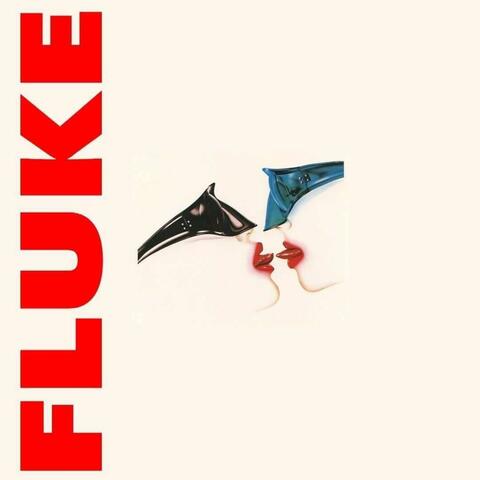 Fluke