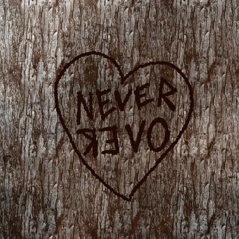 NEVER OVER
