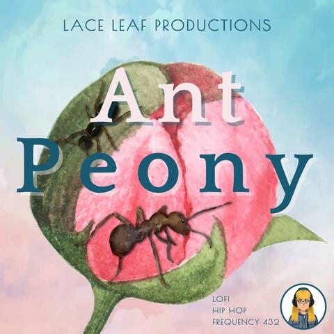 Ant Peony 432