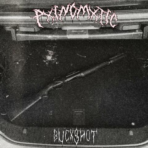 BUCKSHOT!