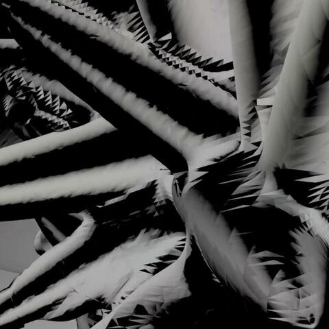PINS/NEEDLES