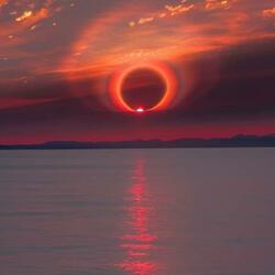 Angel seeking violence