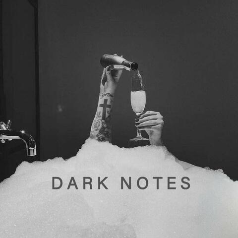 Dark Notes (inspired by Dark Notes by Pam Godwin)