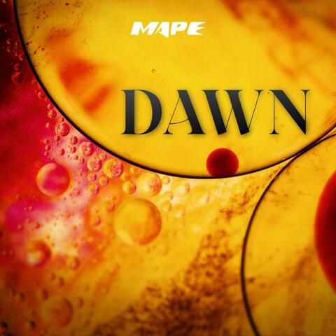 Dawn