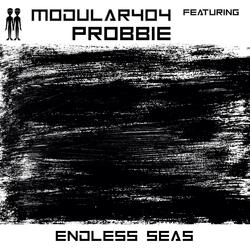 Endless Seas (feat. Probbie)